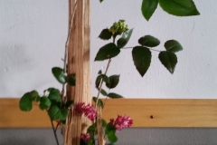 IMG-20220404-WA0002